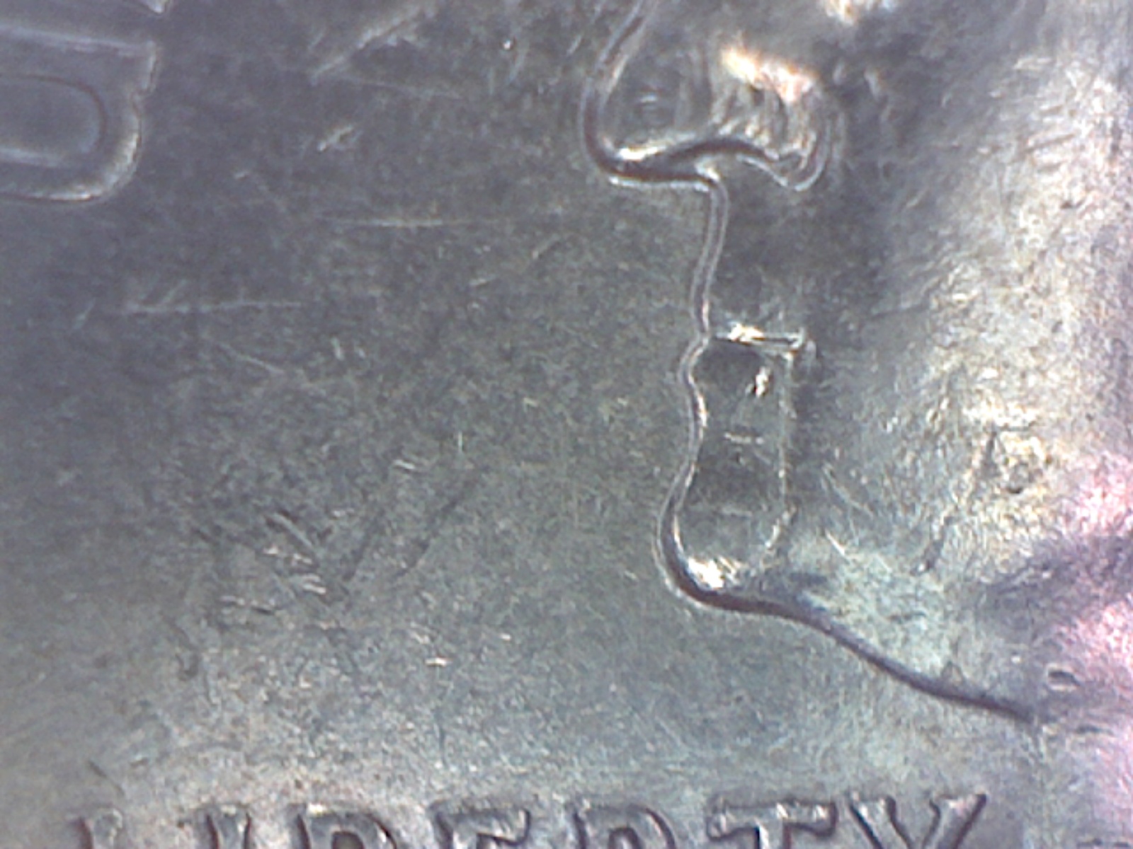 Image303.jpg