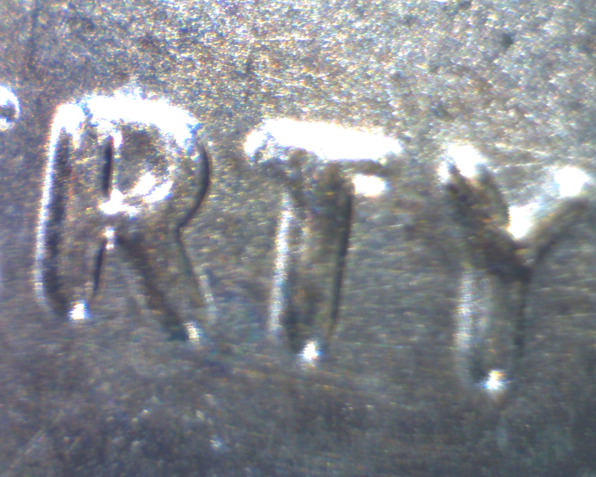 Image304.jpg