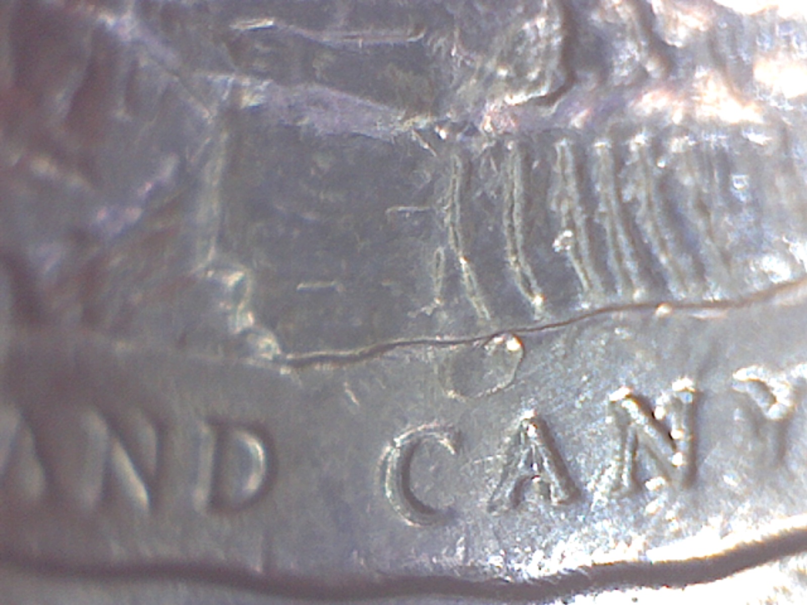 Image307.jpg