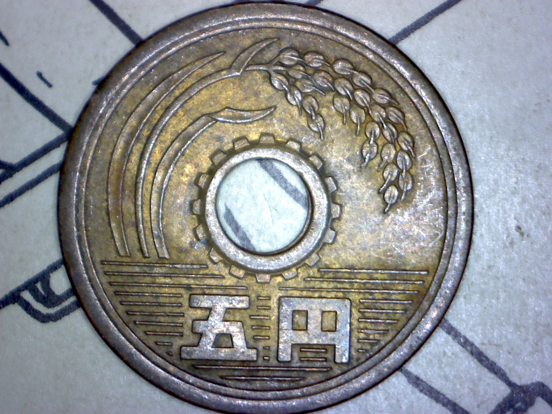 Image308.jpg