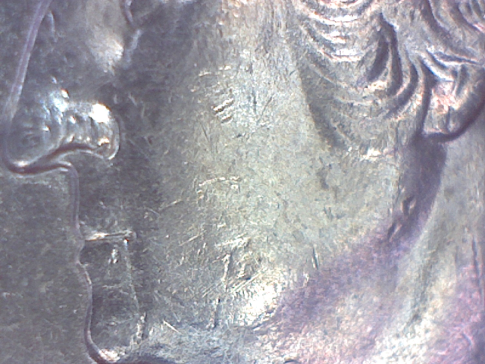 Image309.jpg