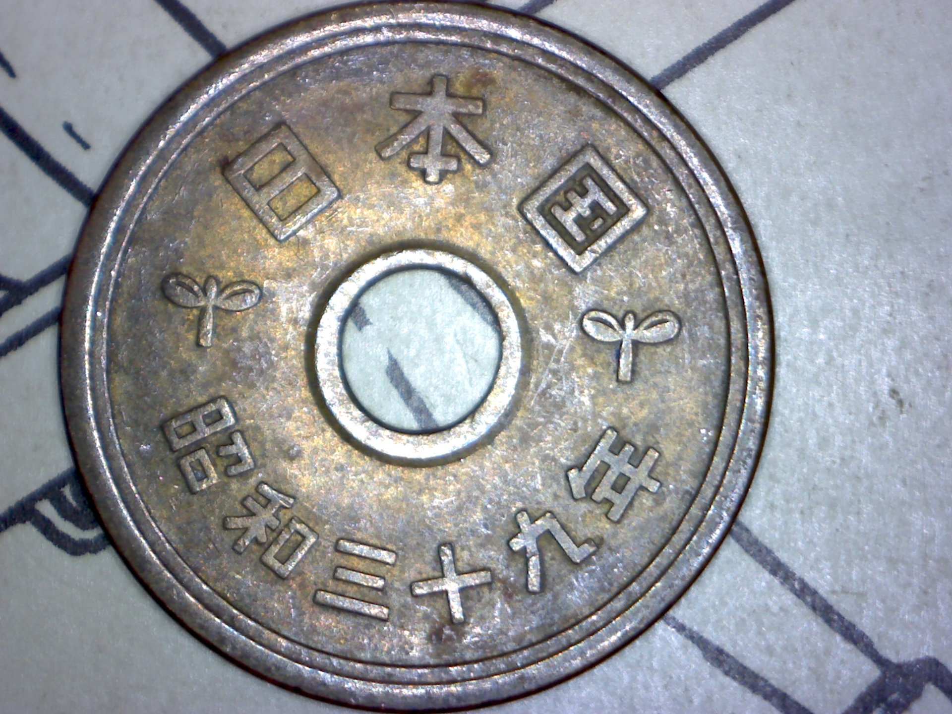 Image309.jpg