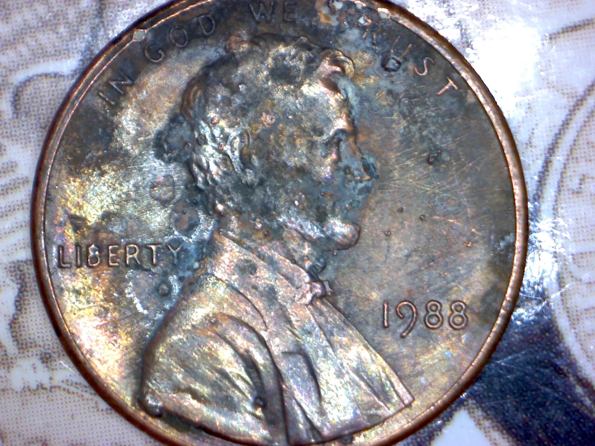 Image343.jpg