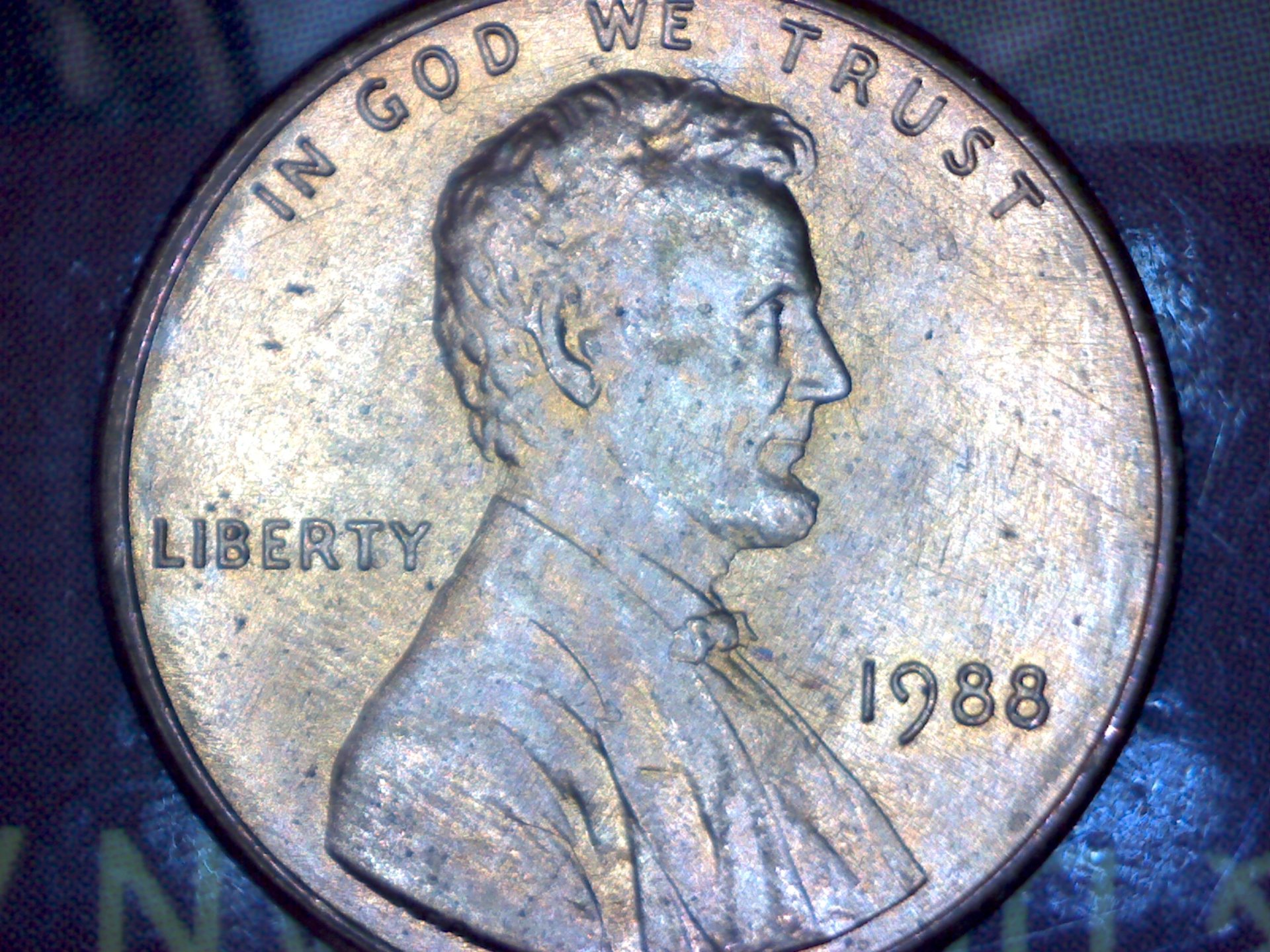 Image352.jpg