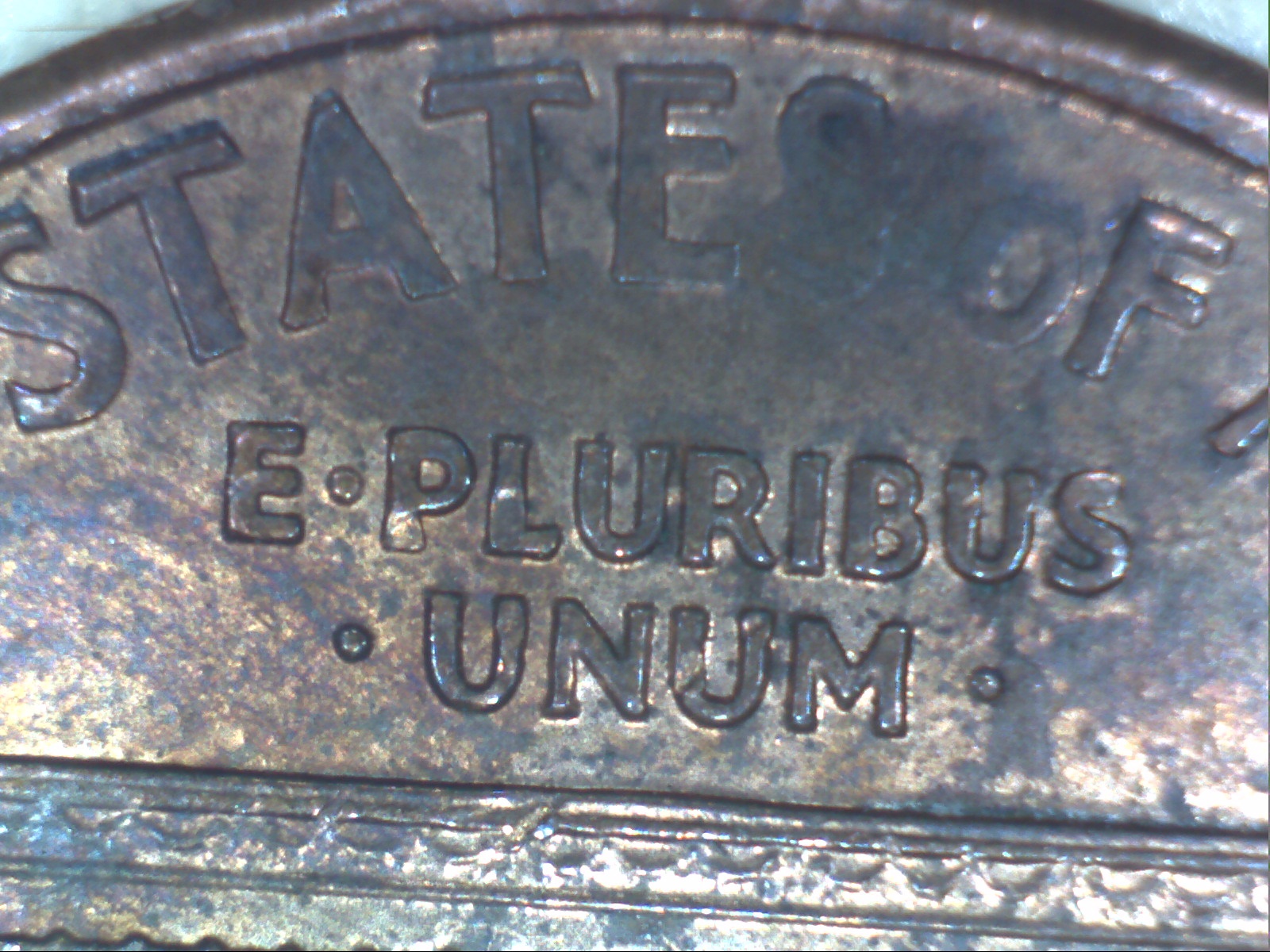 Image36.jpg
