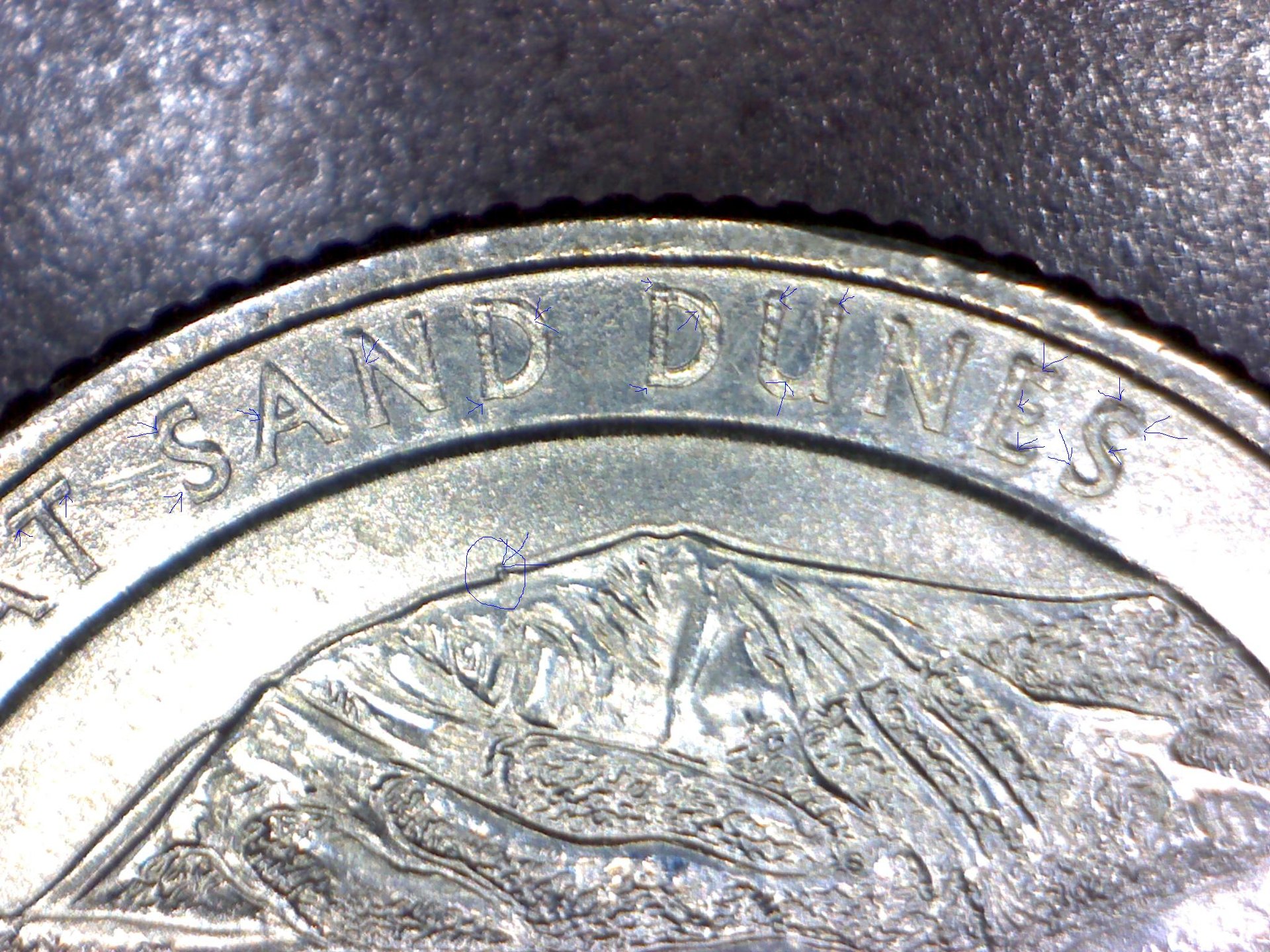 Image365.jpg