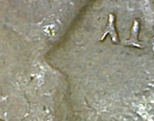 Image37.jpg
