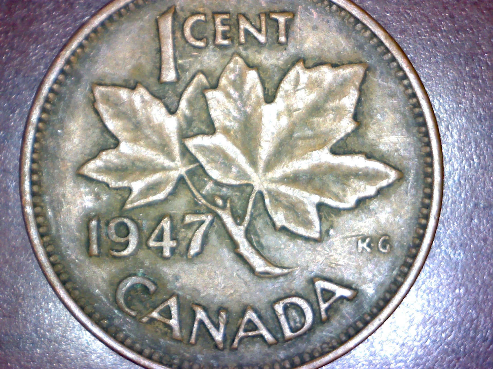 Image370.jpg