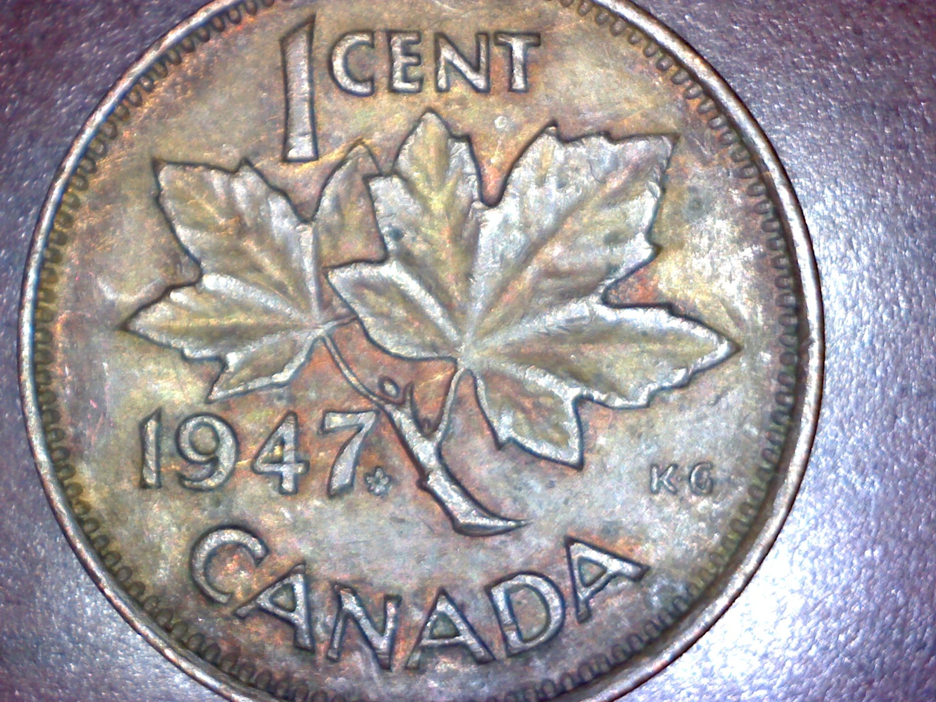 Image371.jpg