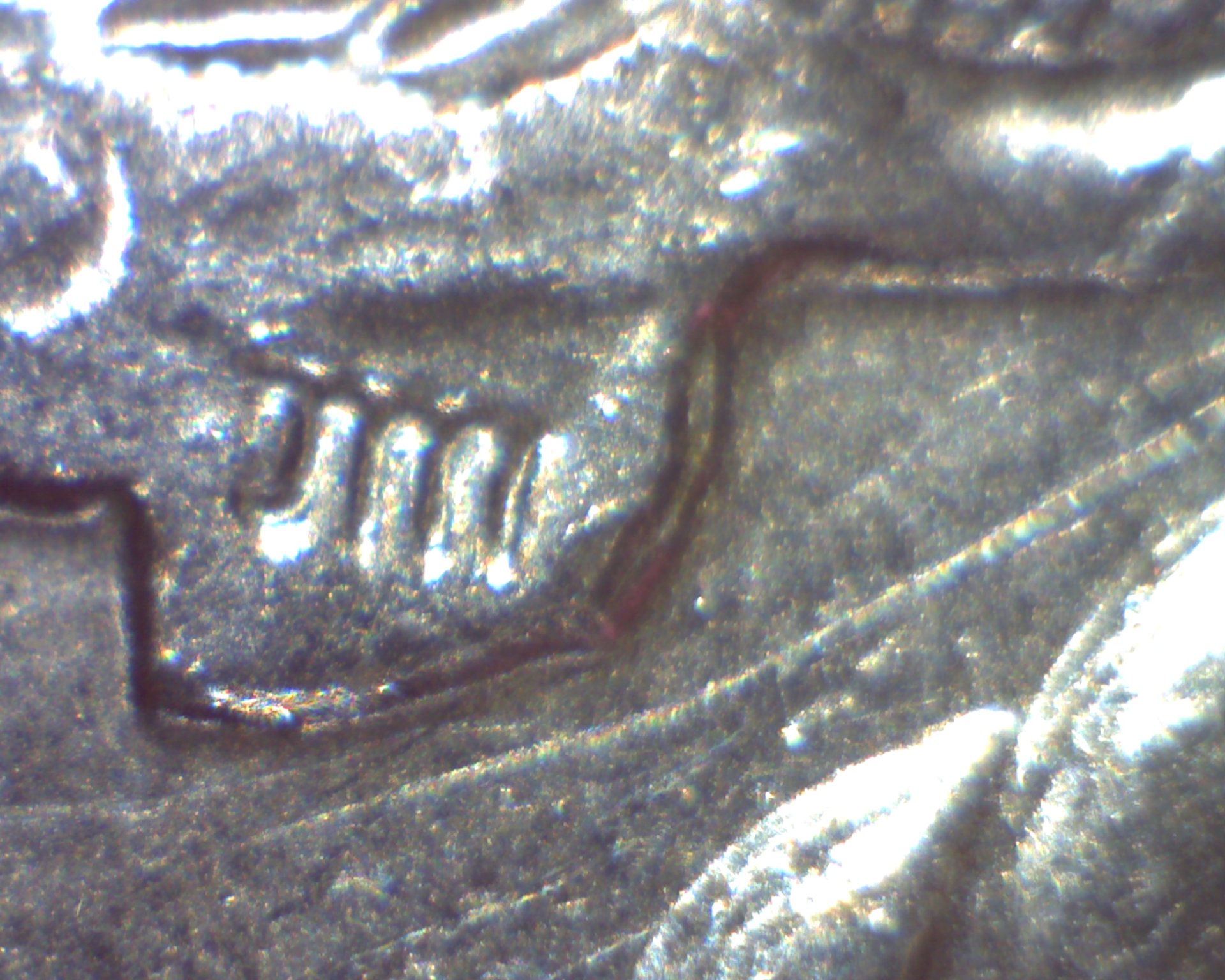 Image376.jpg