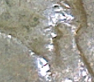 Image38.jpg