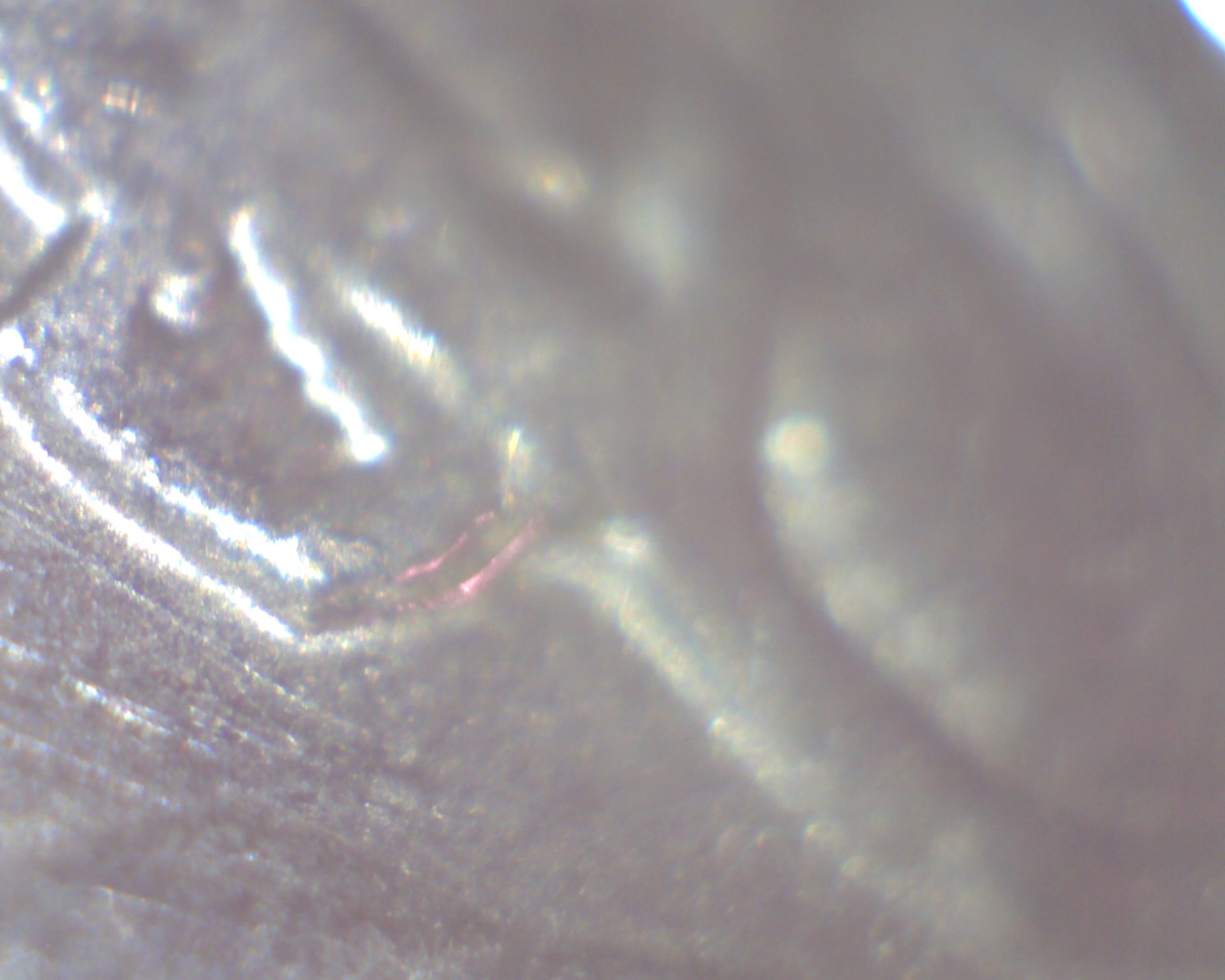Image380.jpg