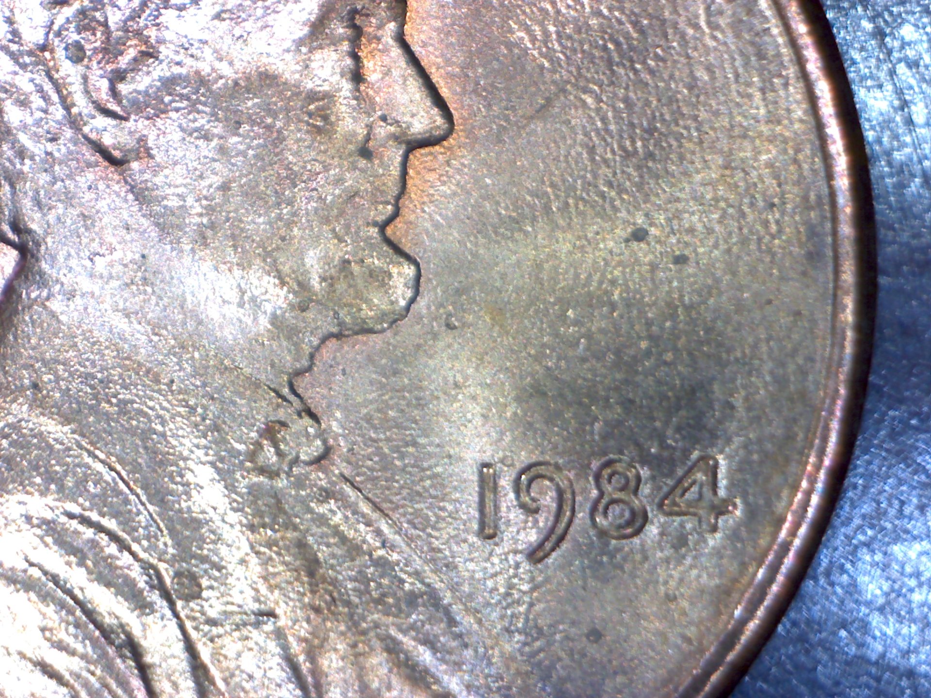 Image380.jpg