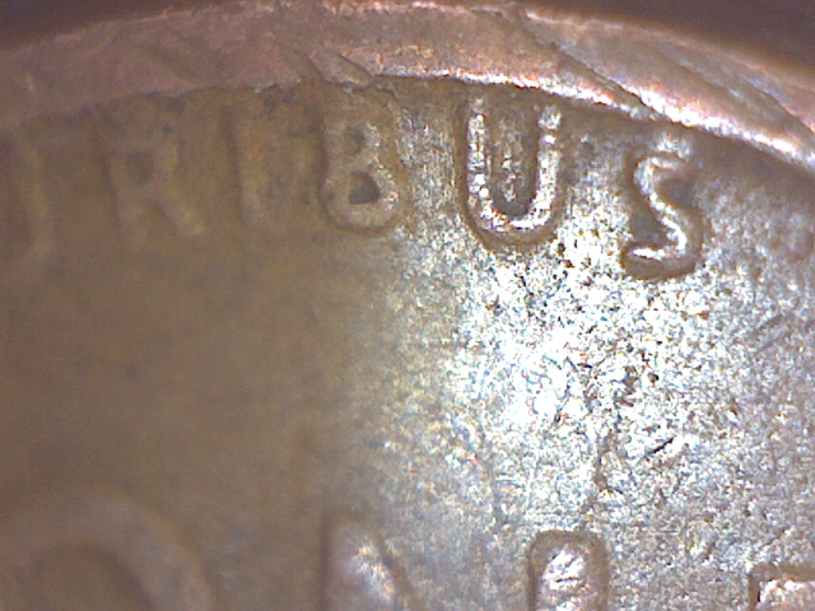 Image383.jpg