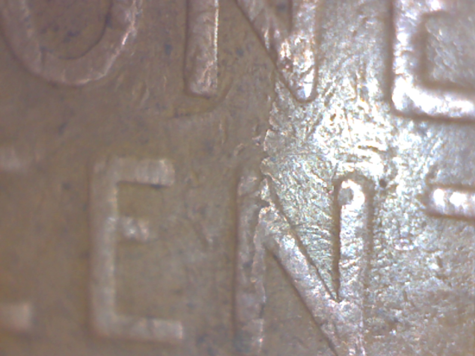 Image385.jpg