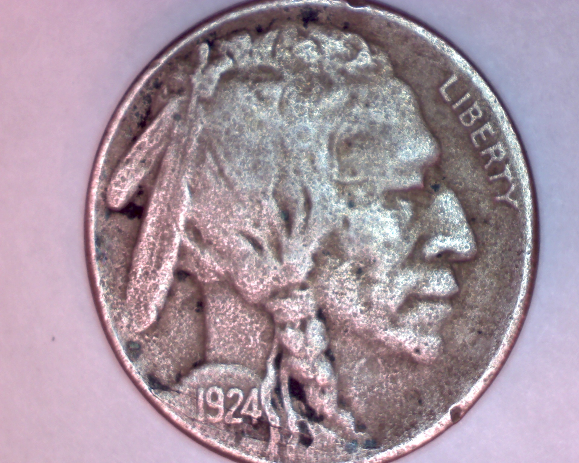 Image3901.jpg