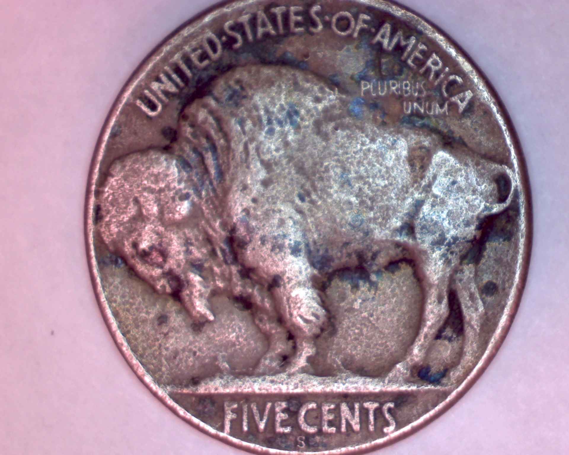 Image3902.jpg
