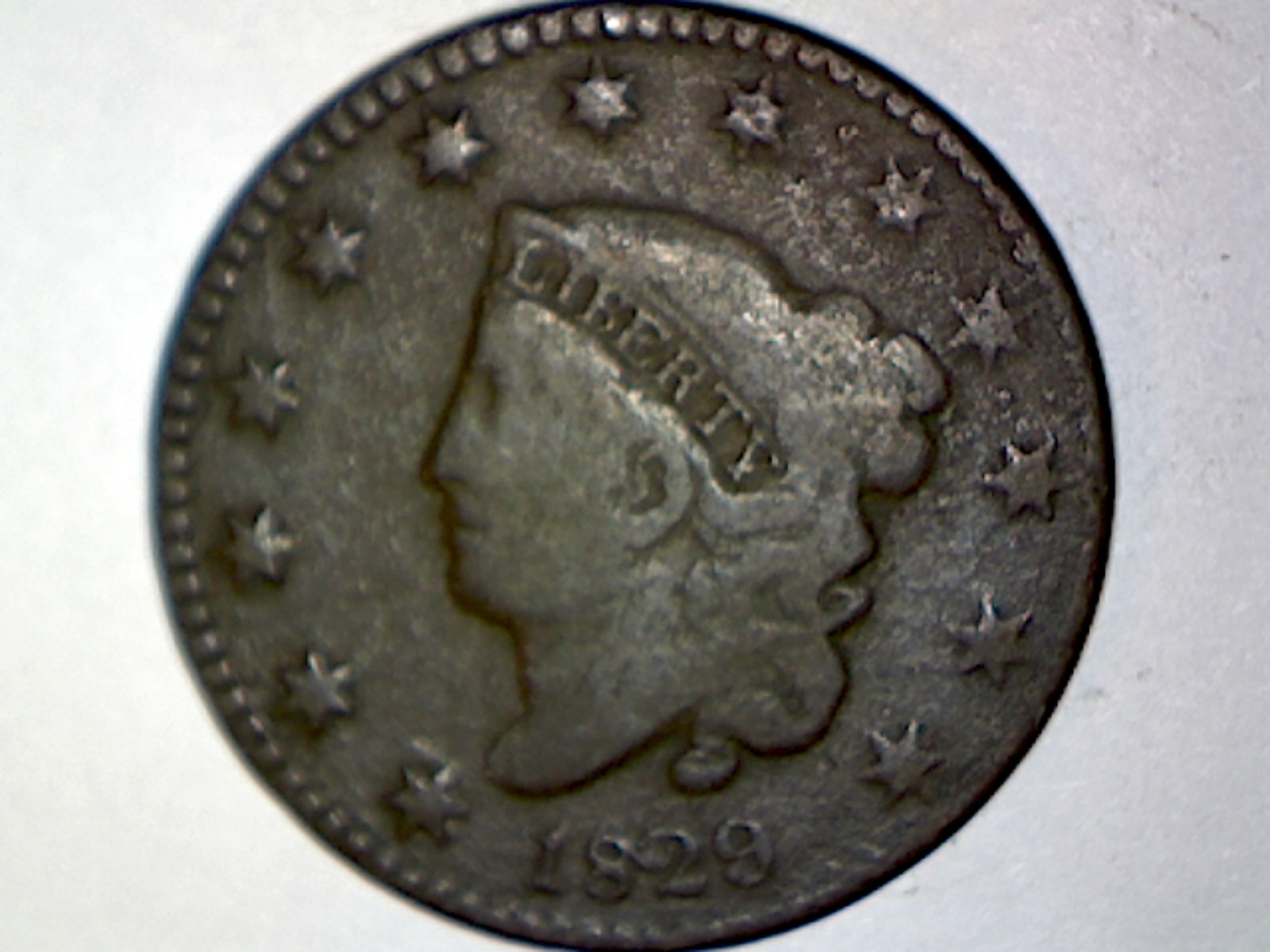 Image405.jpg