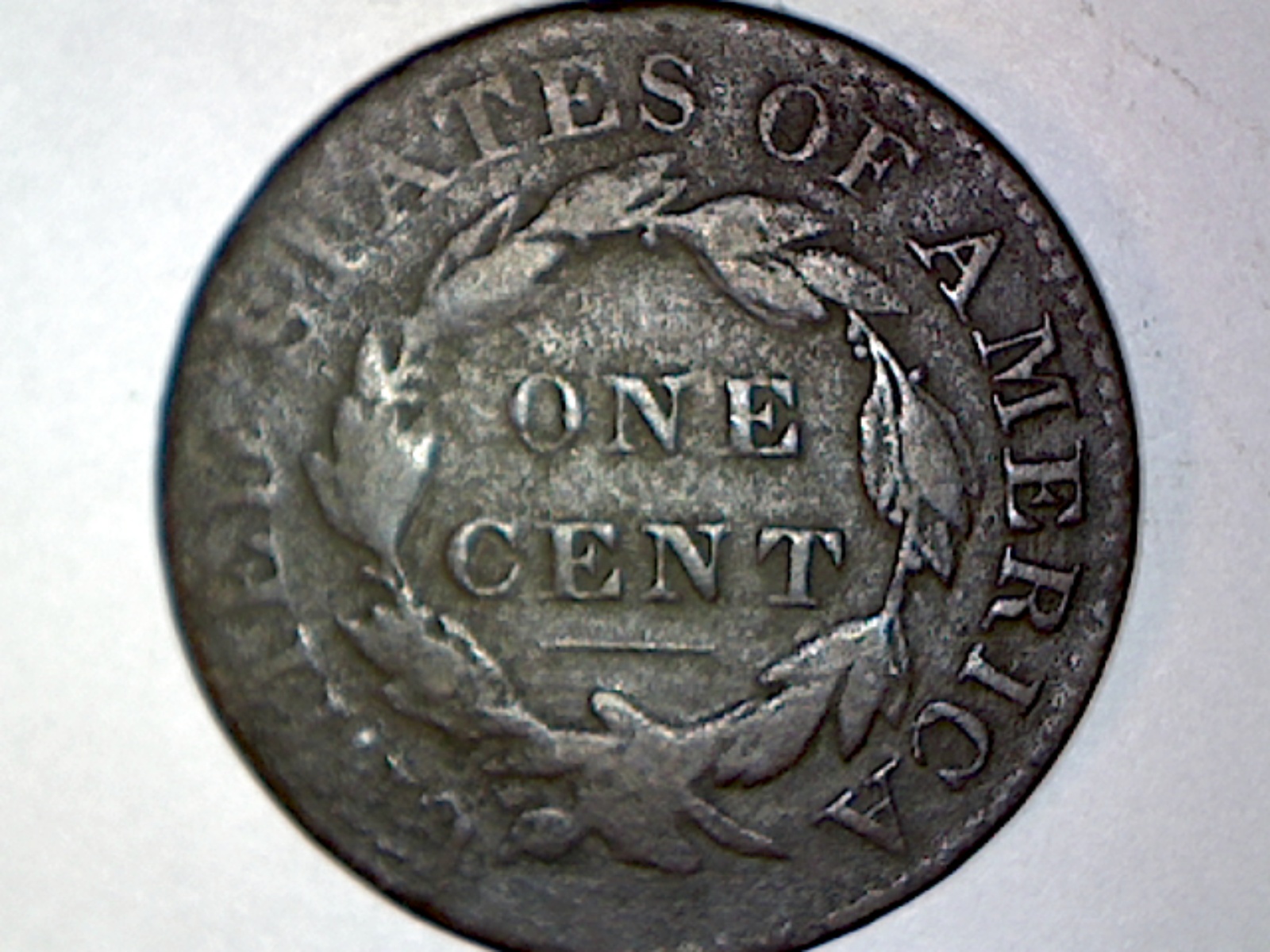 Image407.jpg