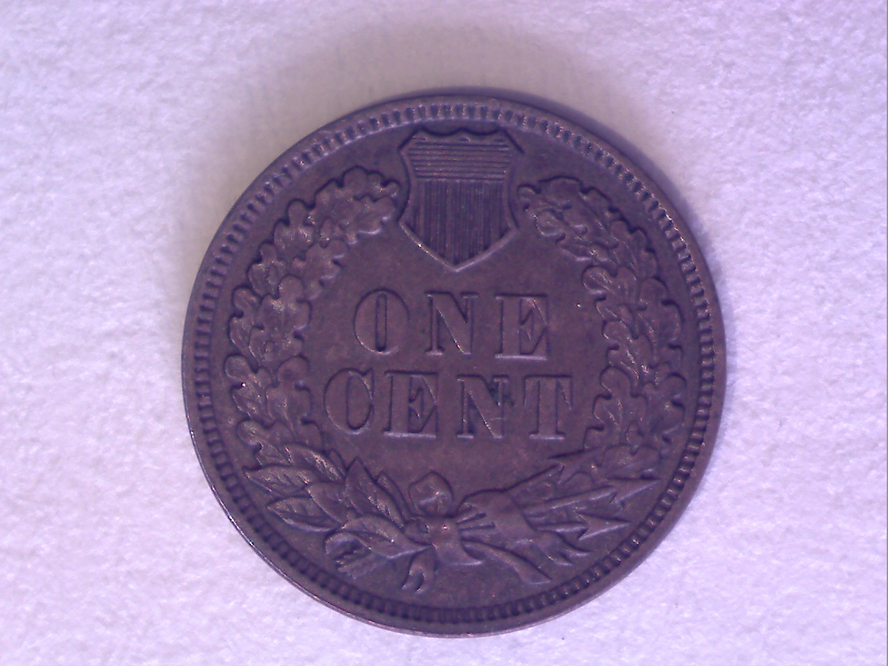 Image41.jpg