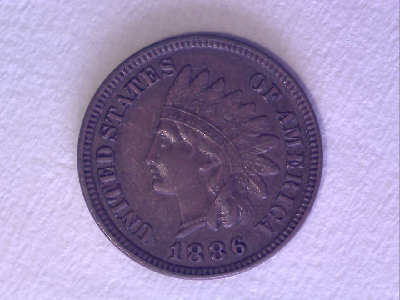Image42.jpg
