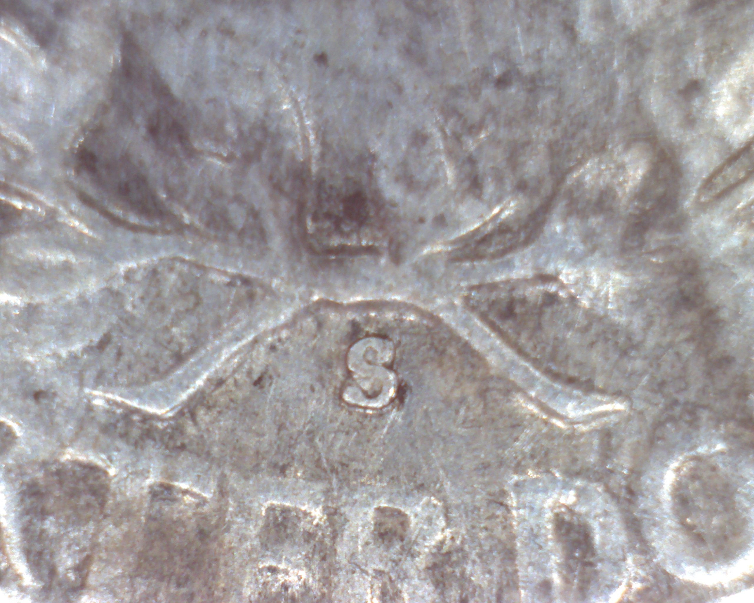 Image4202.jpg