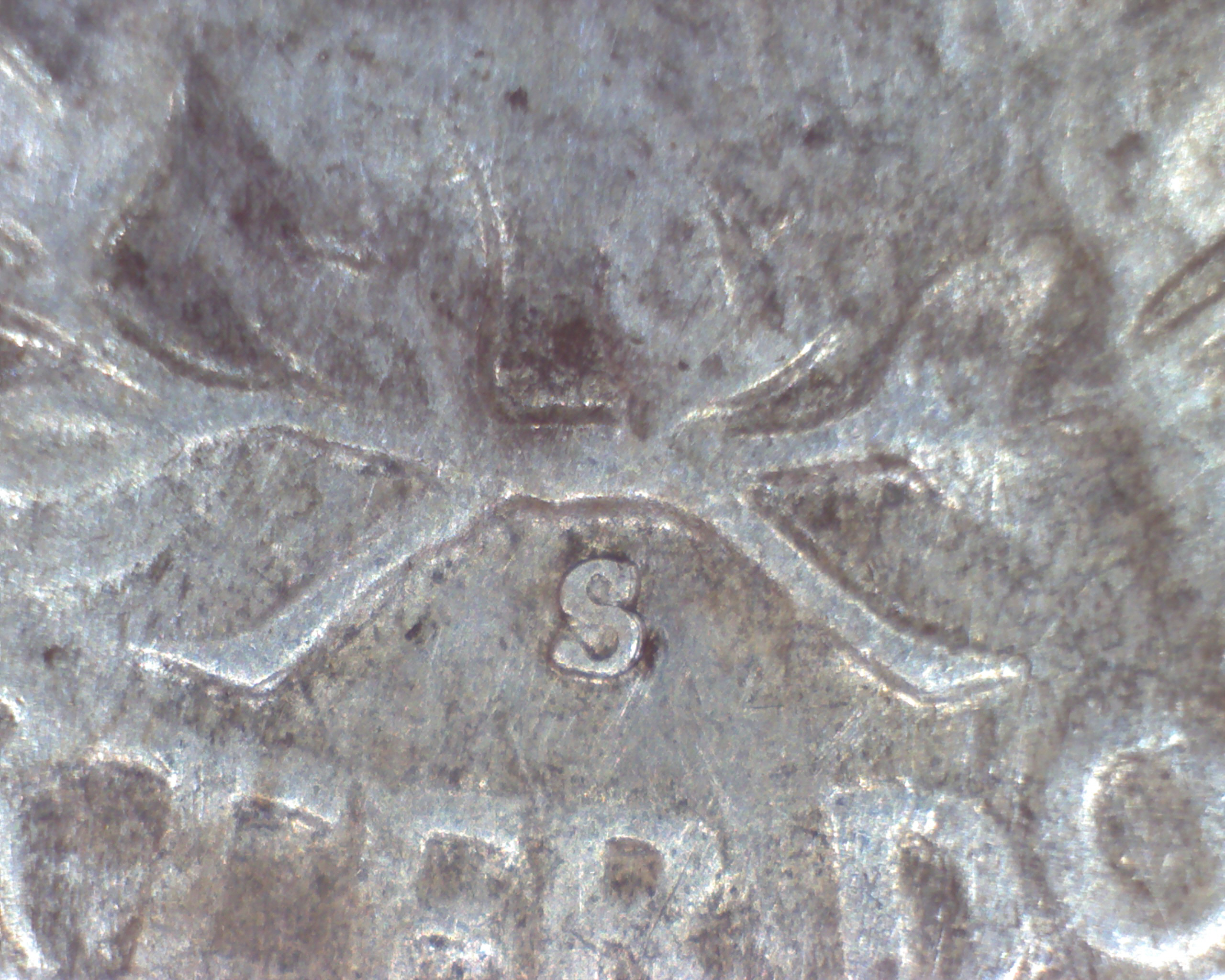 Image4203.jpg