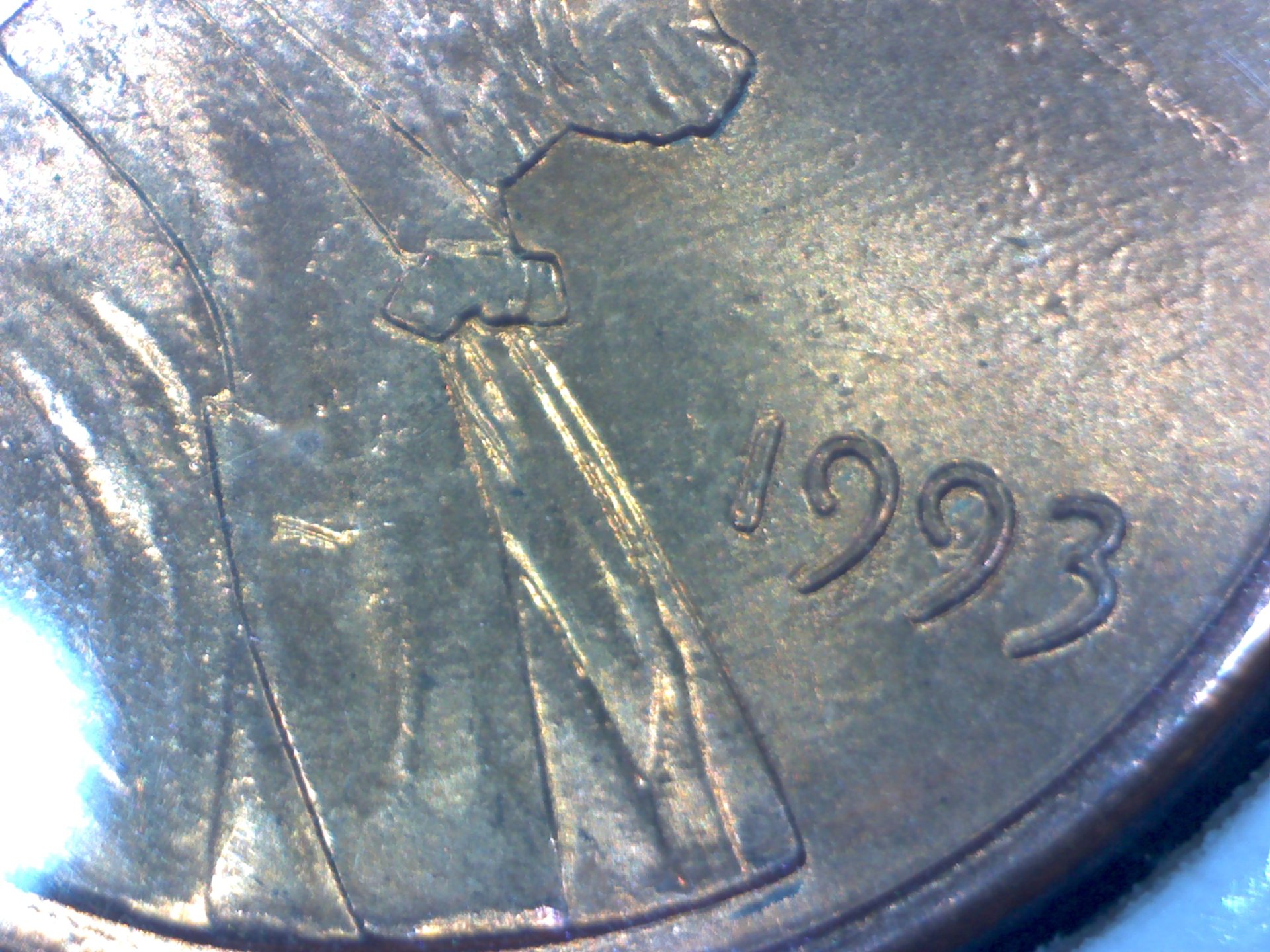 Image427.jpg