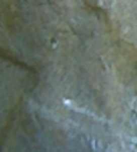 Image43.jpg