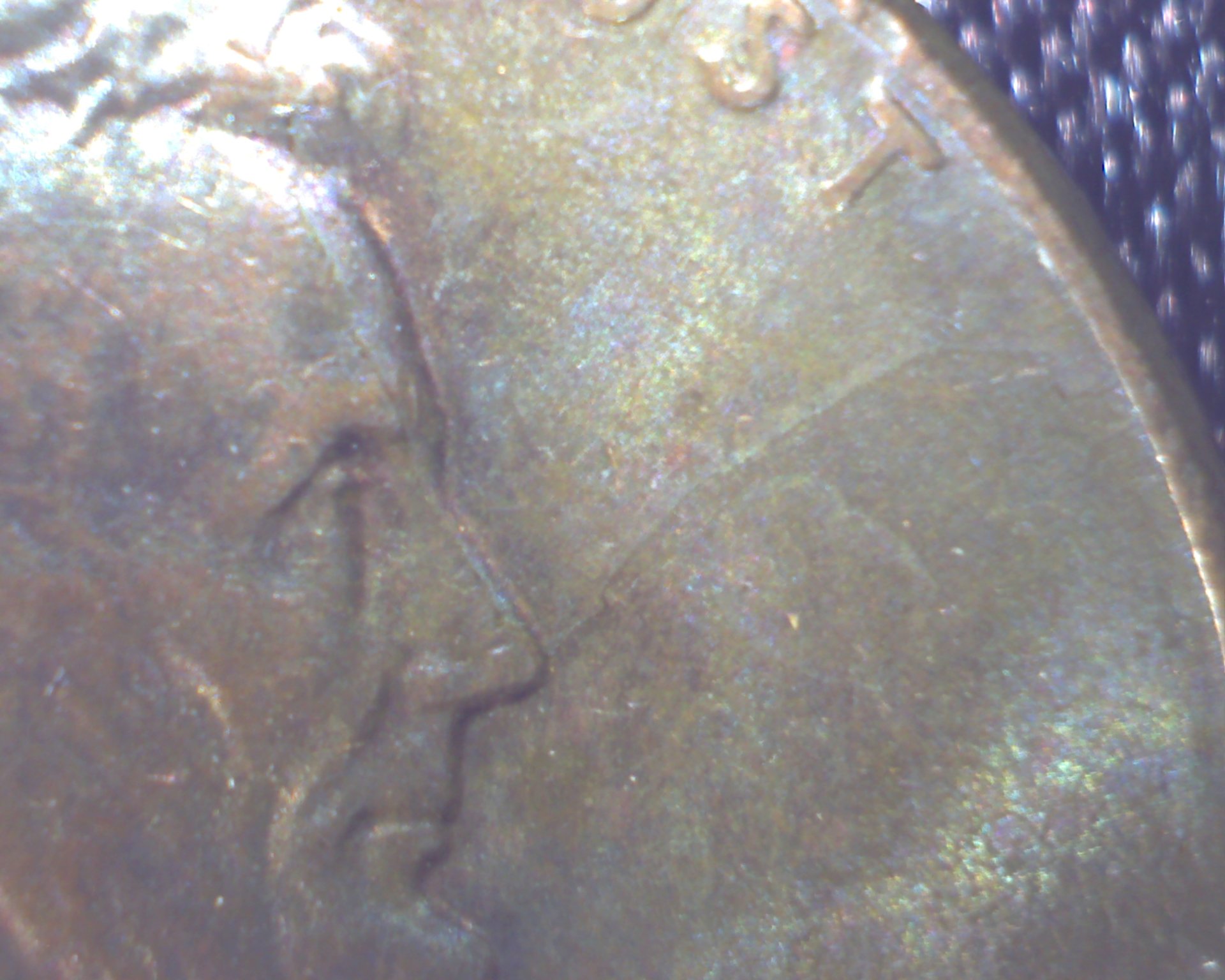 Image431.jpg