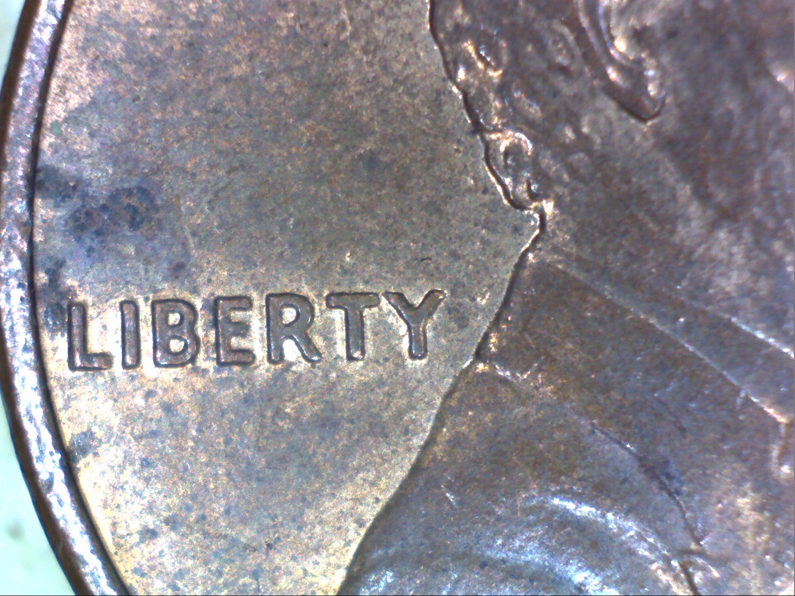 Image45.jpg