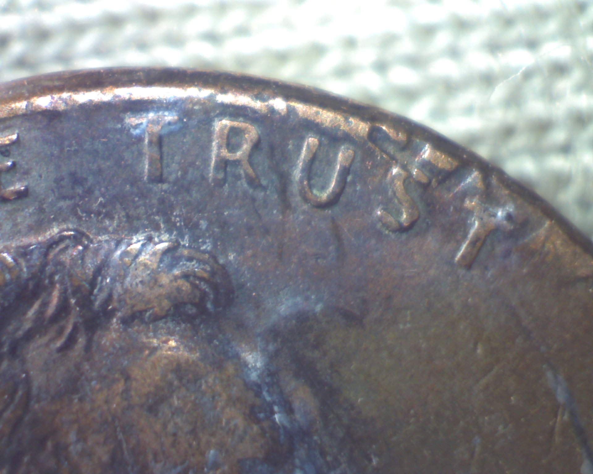 Image460.jpg