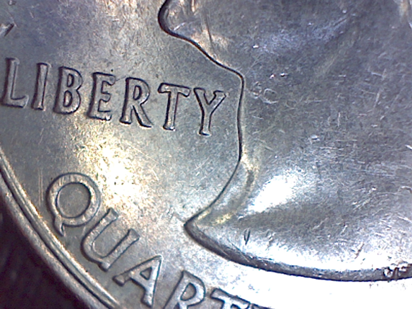 Image461.jpg