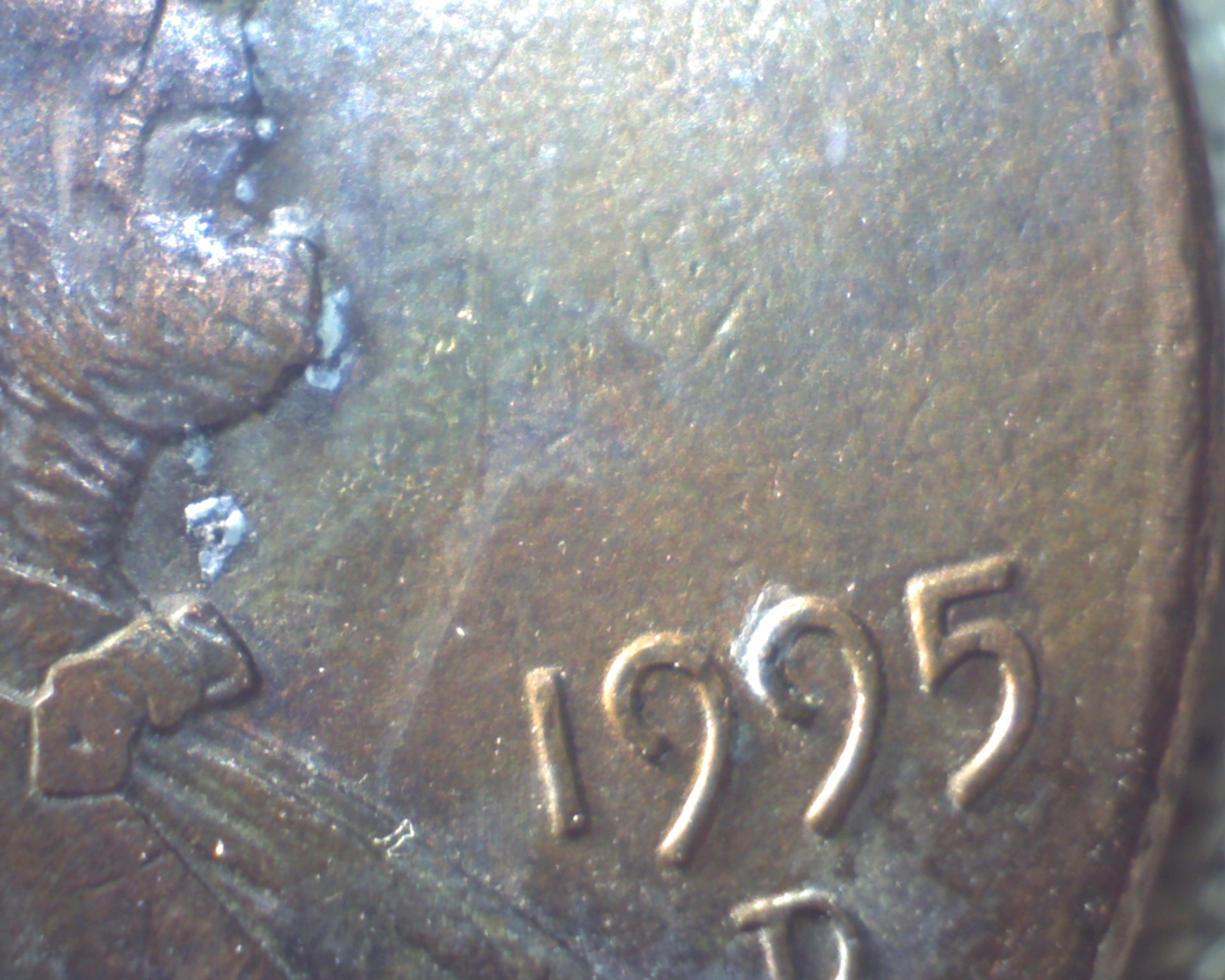 Image461.jpg