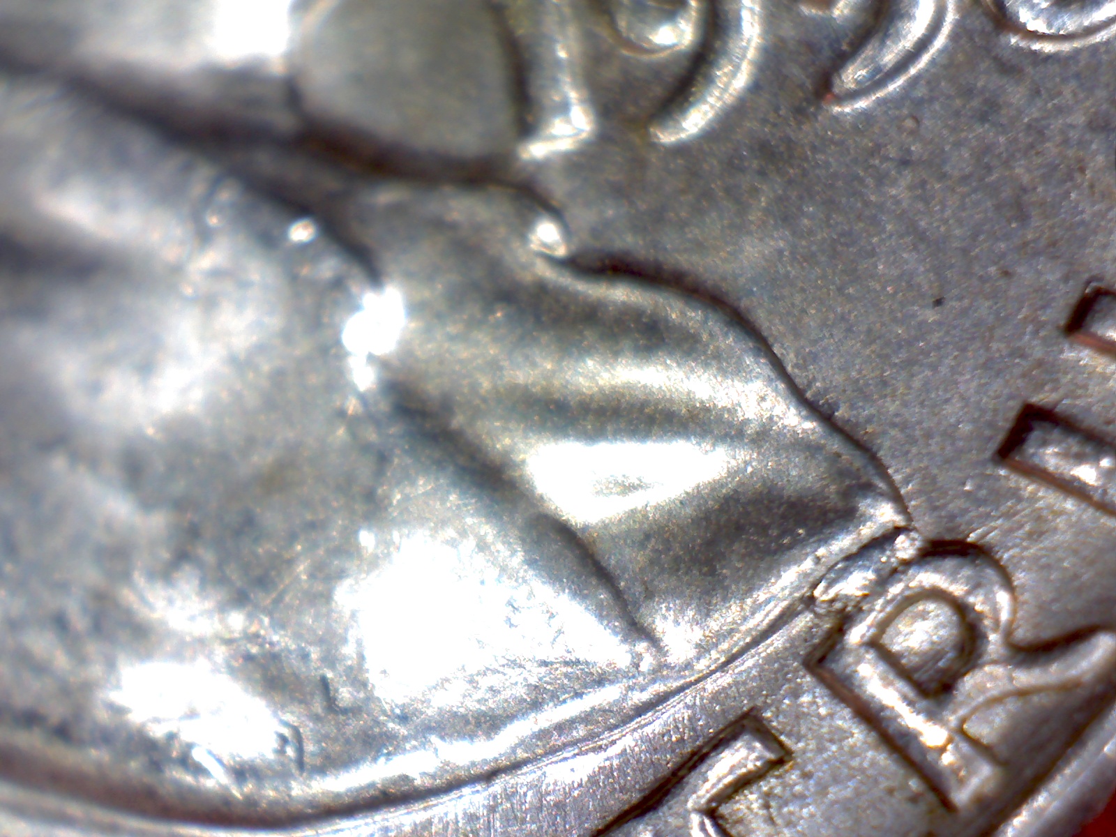 Image462.jpg