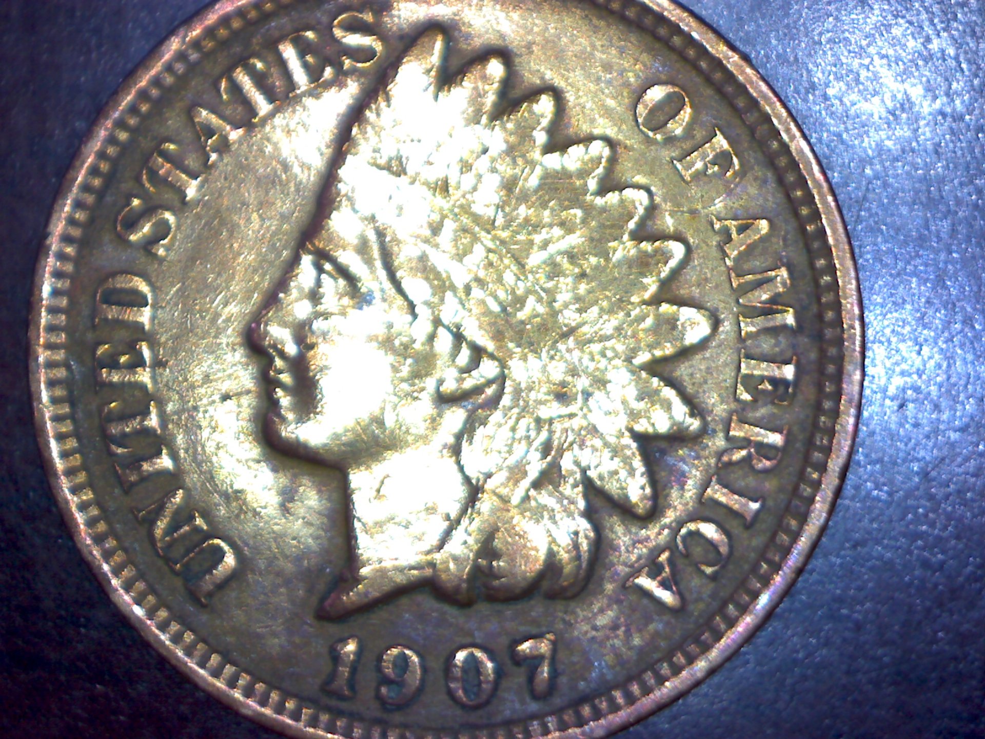 Image481.jpg