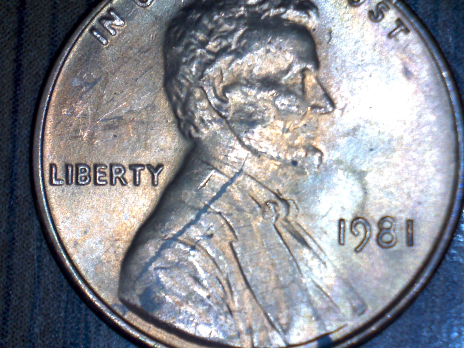 Image481.jpg