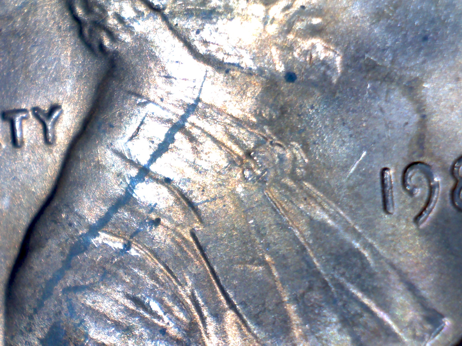 Image482.jpg