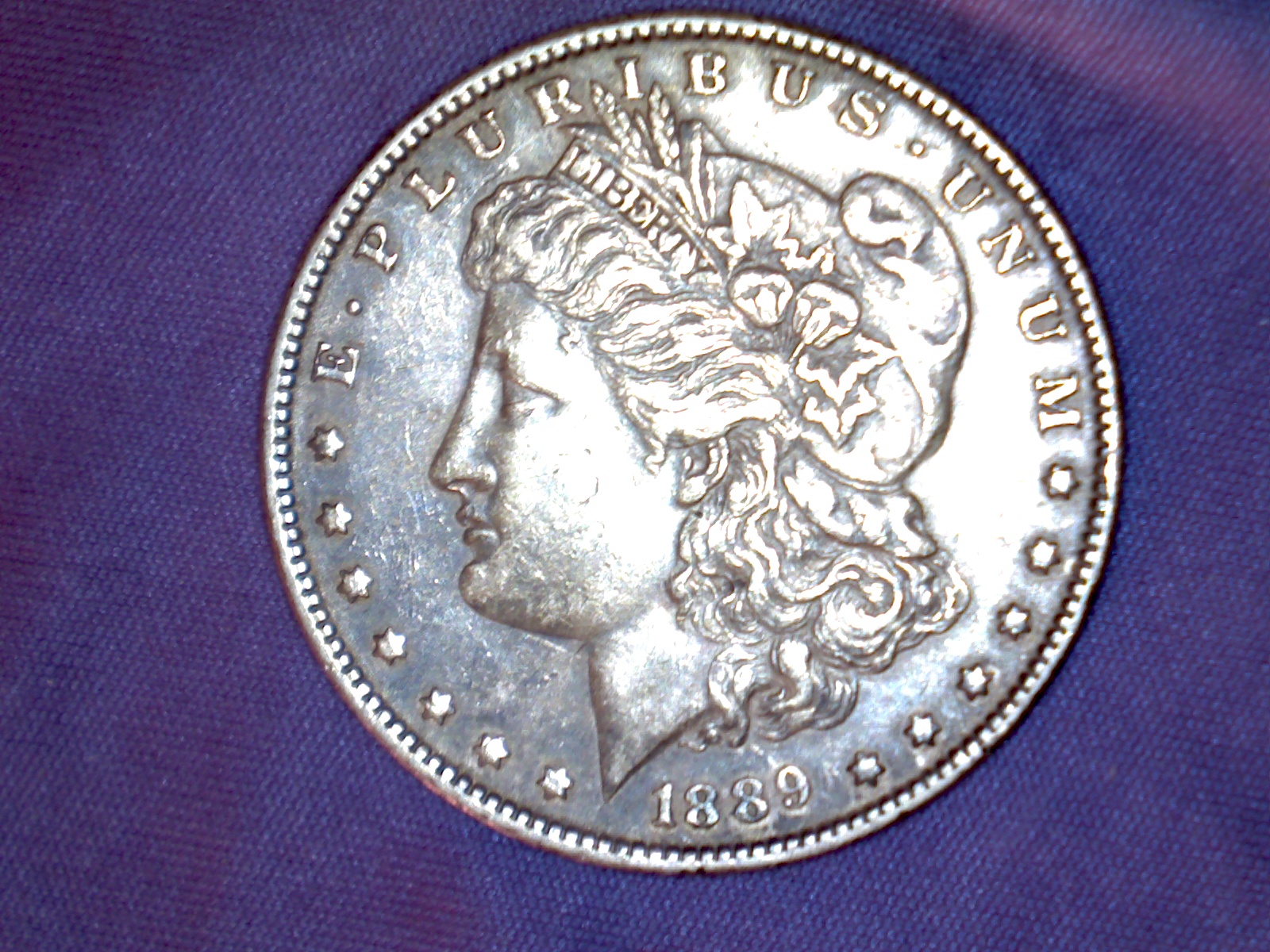 Image483.jpg