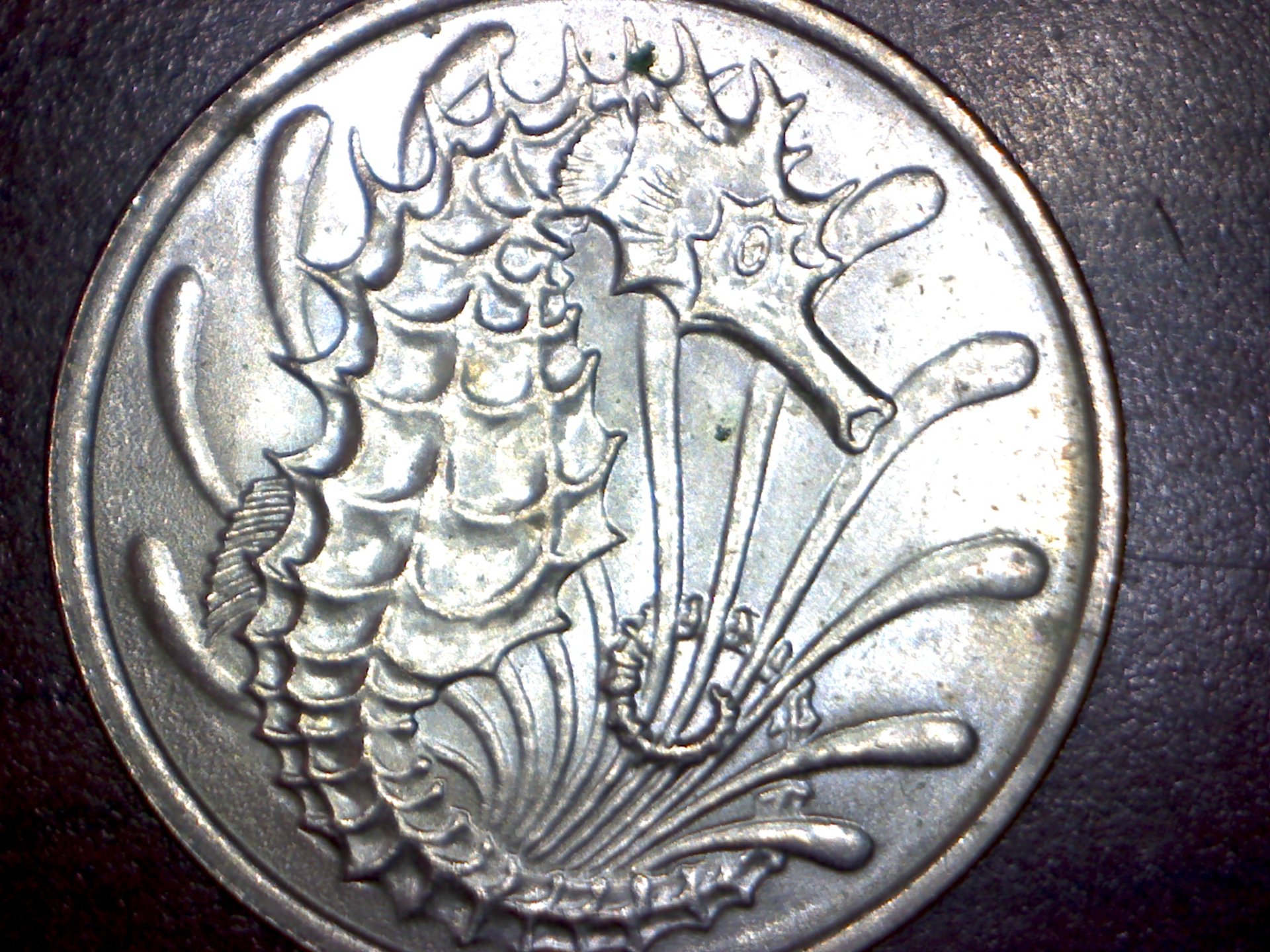 Image484.jpg