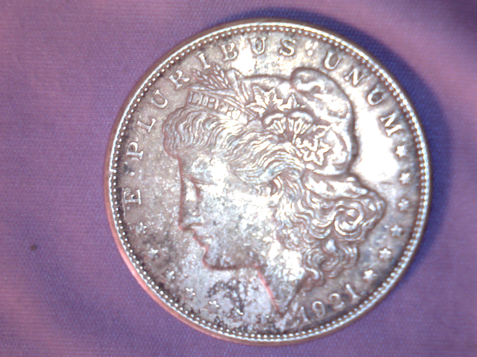 Image485.jpg