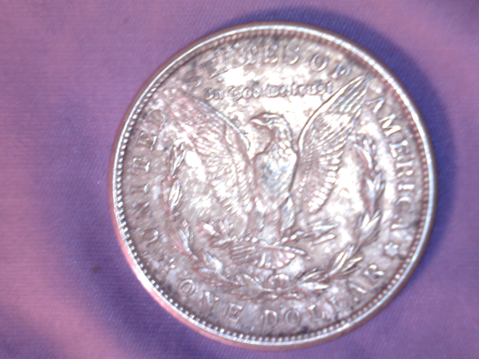 Image486.jpg