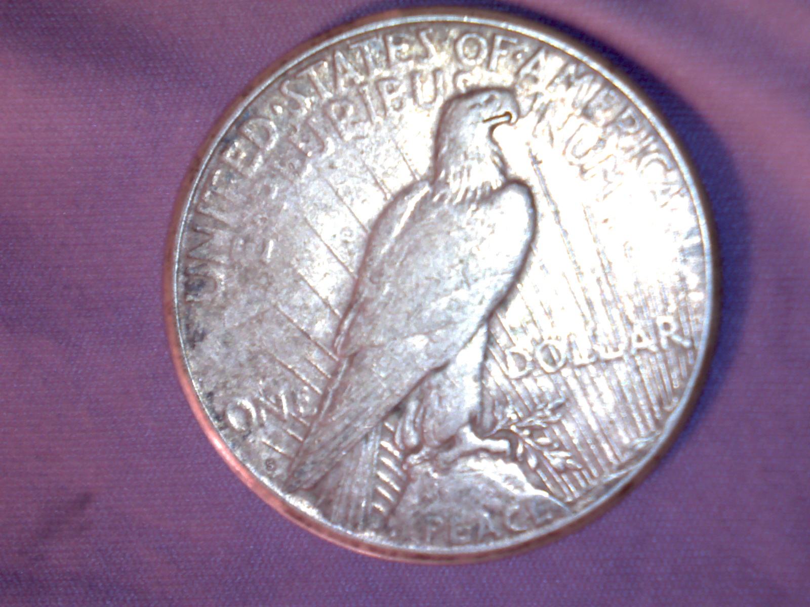 Image488.jpg