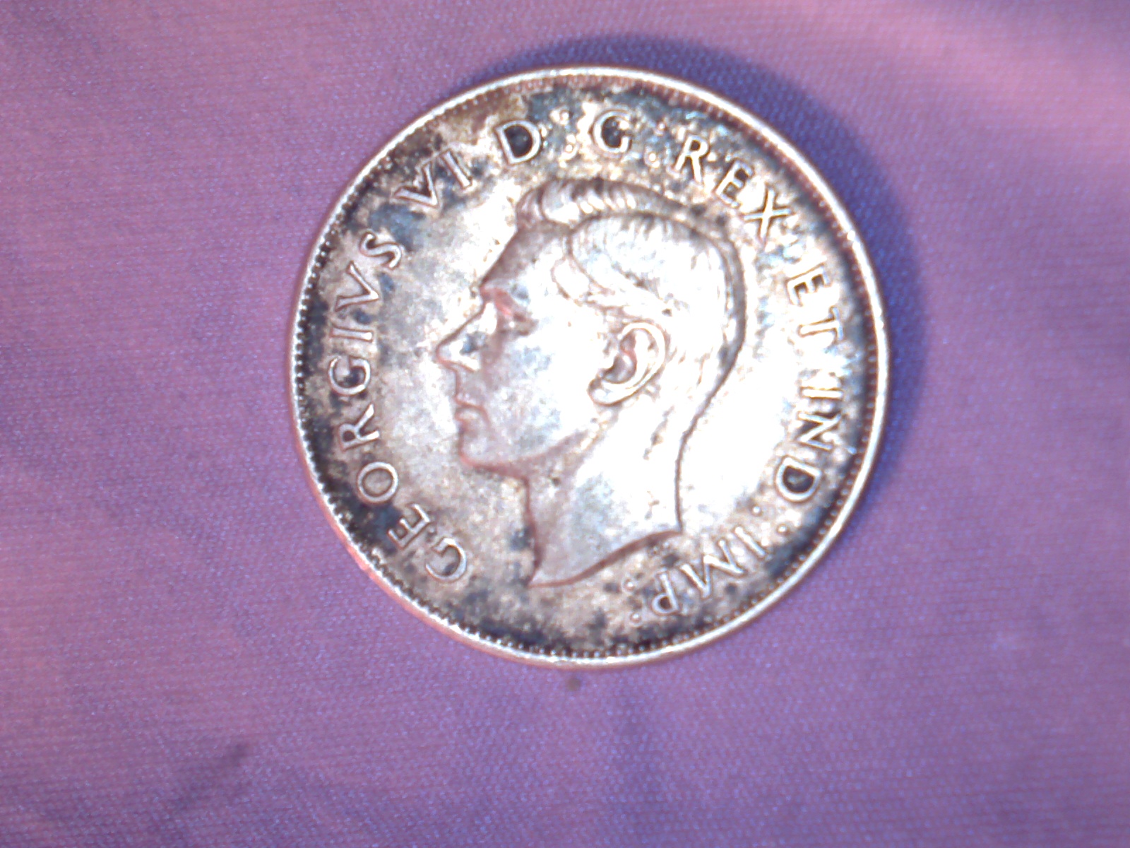 Image489.jpg