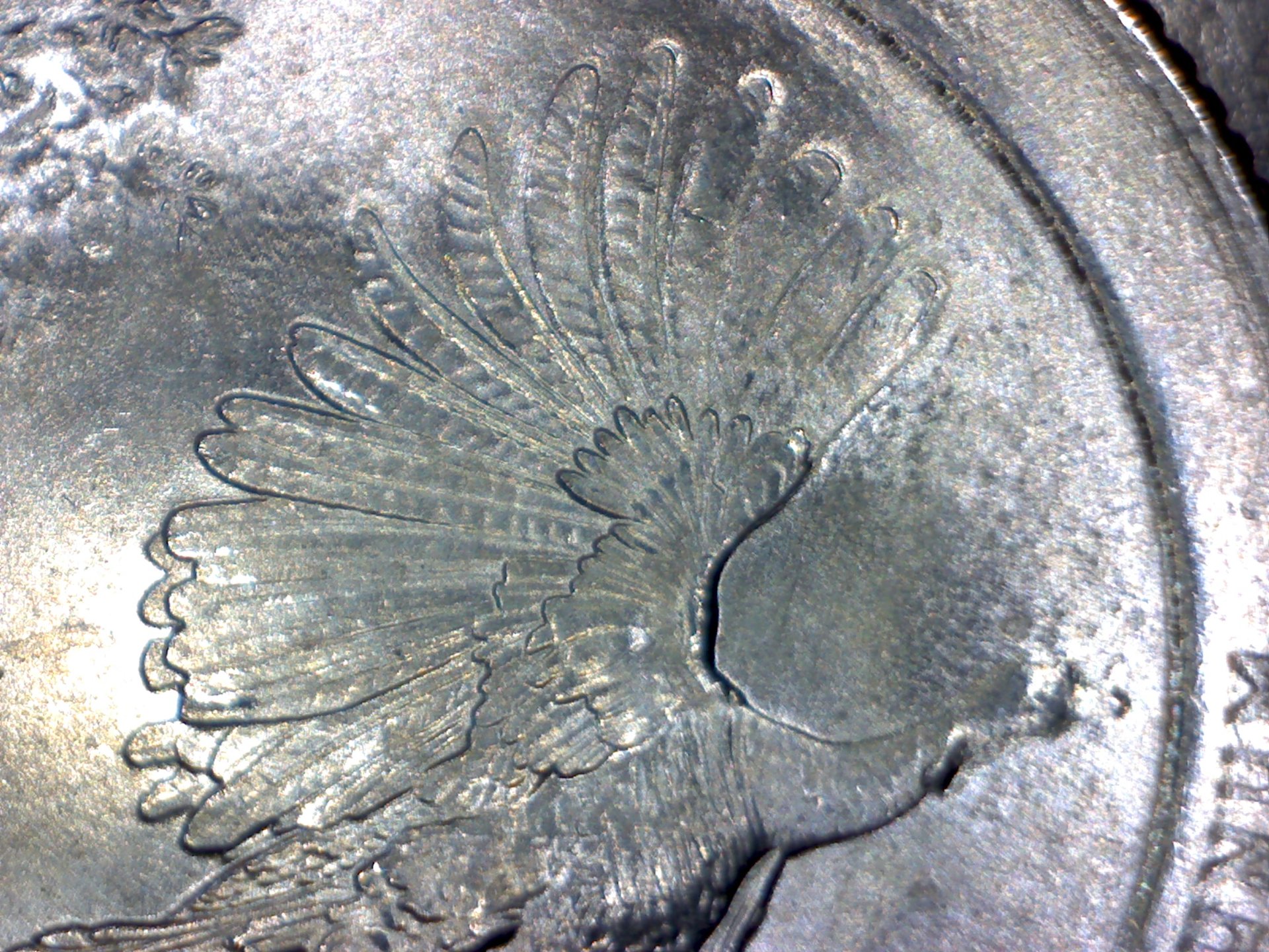 Image493.jpg
