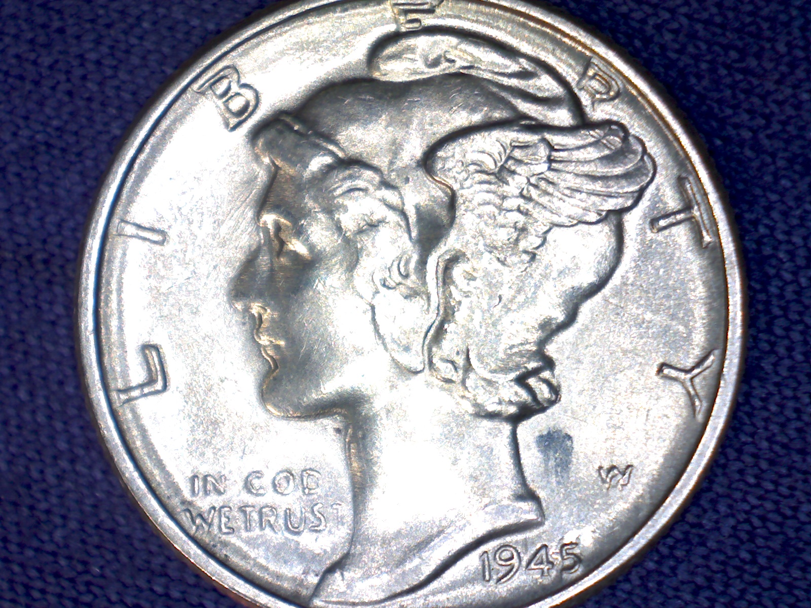 Image495.jpg