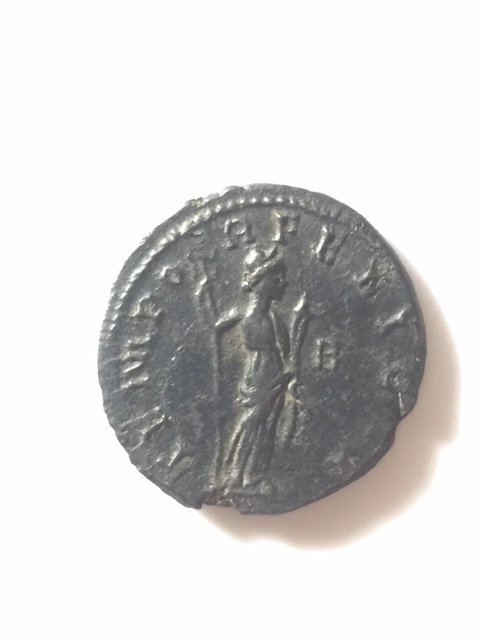 image5 (1).jpeg