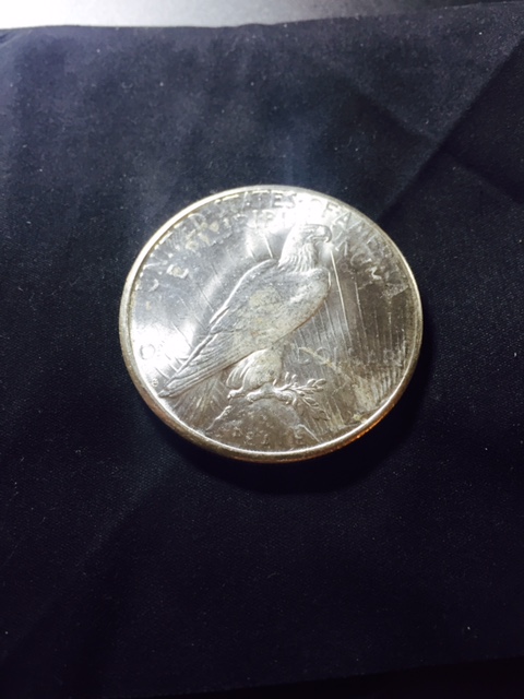image5 (38).jpeg