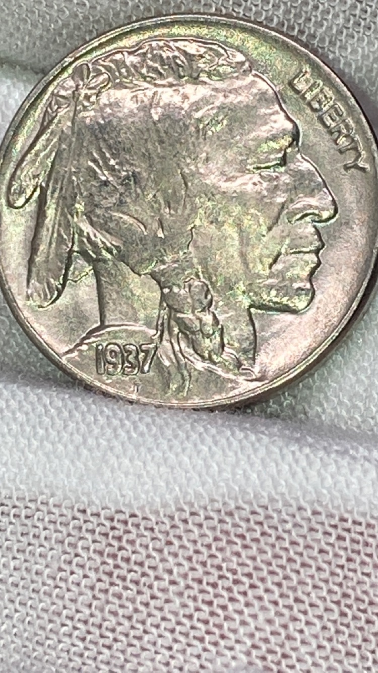 image5.jpeg