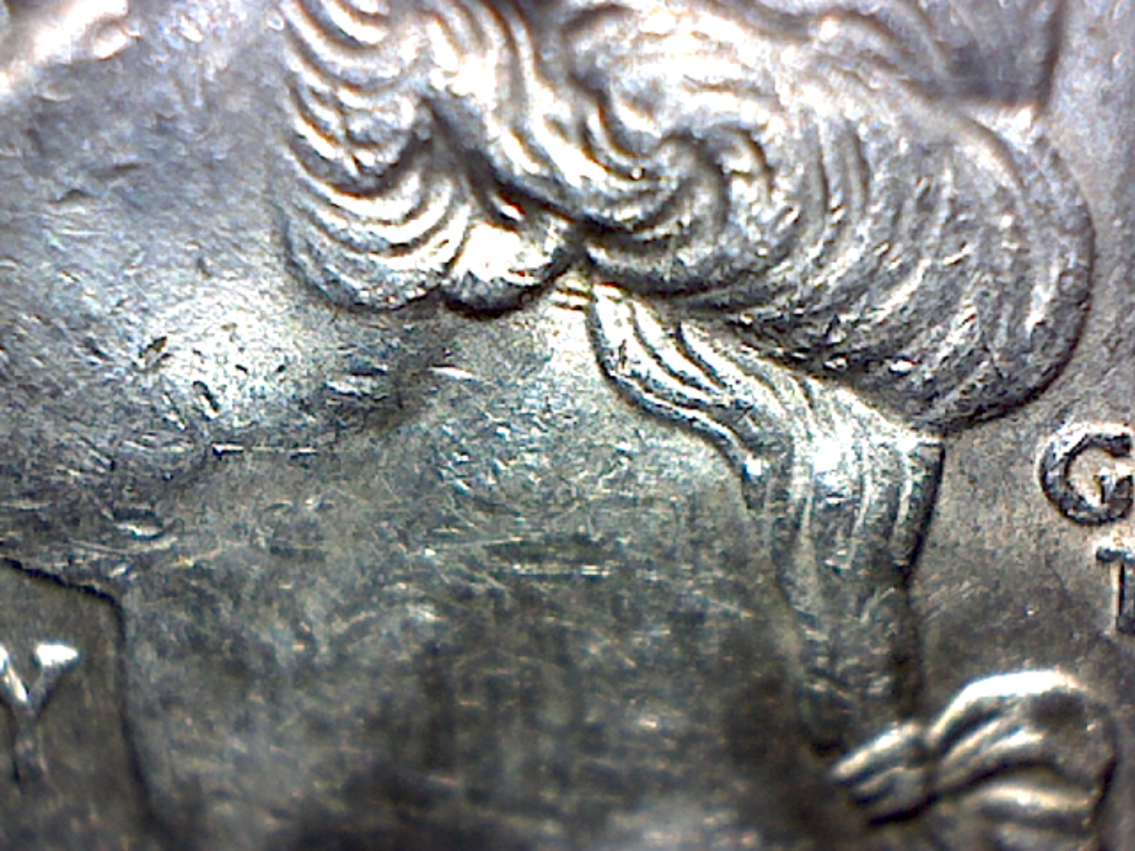 Image5.jpg